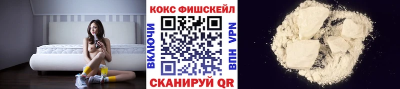 COCAIN Fish Scale  Купить  Ангарск 