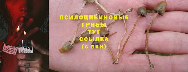 mix Каменка