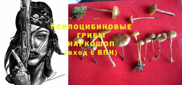 mix Каменка