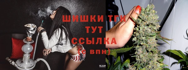 mix Каменка