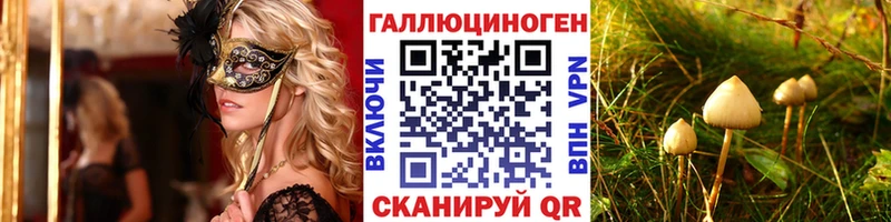 Купить где  Ангарск  Псилоцибиновые грибы MAGIC MUSHROOMS 